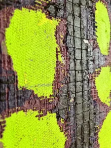 Physical Pixel Green Purple Abstraction — painting; built up in heavy, tactile impasto; in acrylic on canvas; gray tones — detail 2 of 2, close-up of surface texture