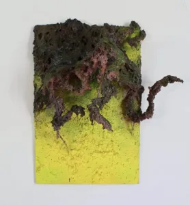 Quick Shoot — painted relief; of an animal; built up in heavy, tactile impasto; in spray paint; yellow, green and brown tones — detail 4 of 4, close-up of surface texture